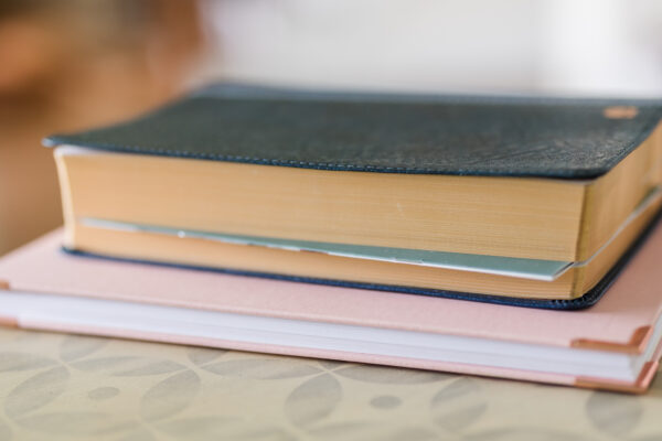 Inductive Bible Study Guide - Image 8